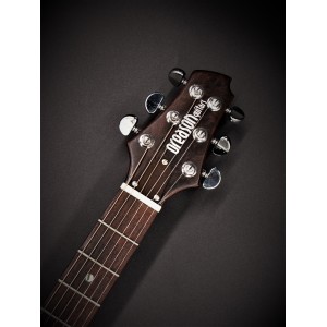 Oreason Guitars Custom PR MODEL